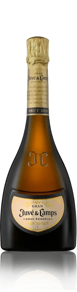 Gran Juve & Camps Gran Reserva Brut 2018 75cl